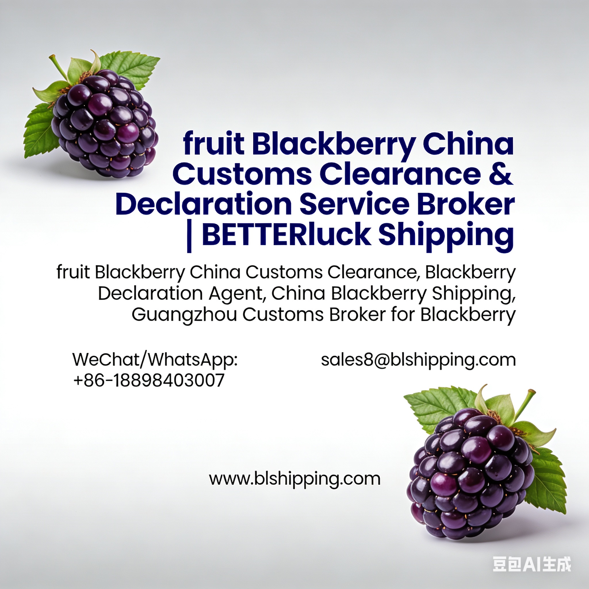 Blackberry IQF China Customs Clearance Declaration Broker