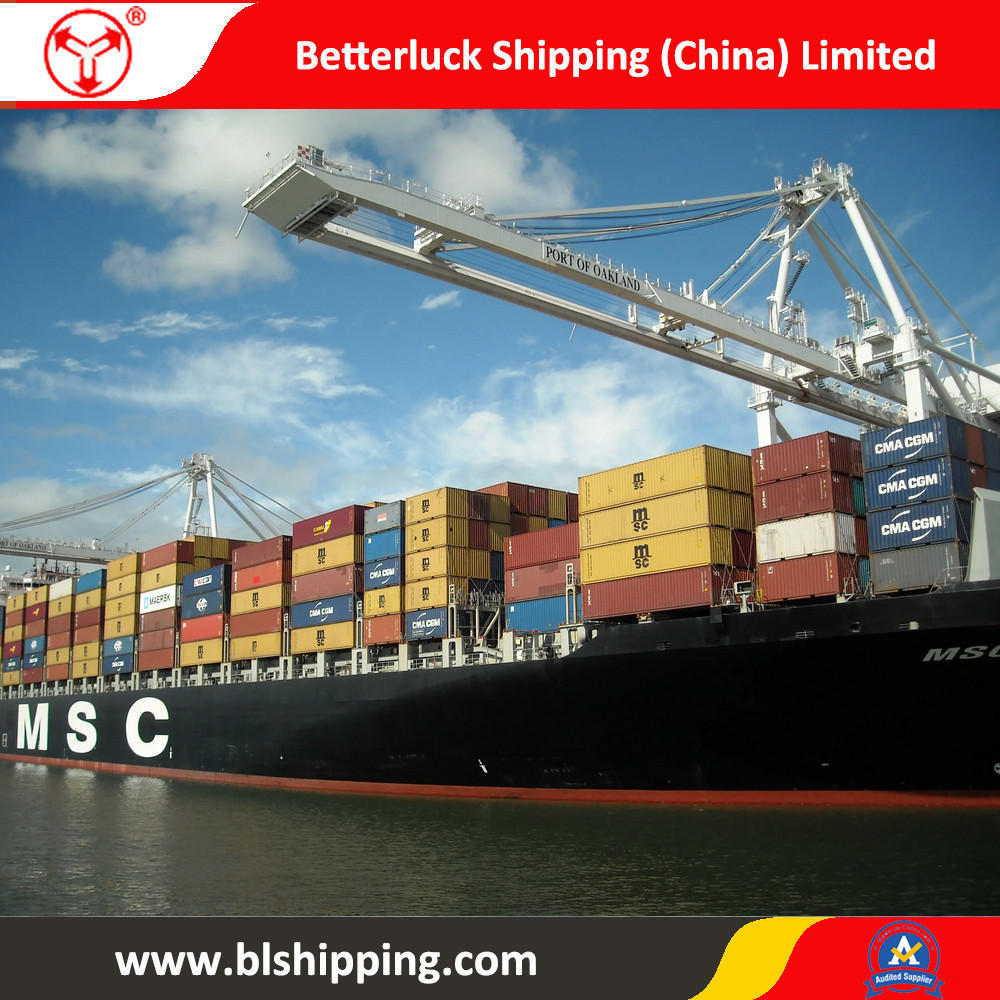 Sea Freight from Nansha Port to Beira Mozambique