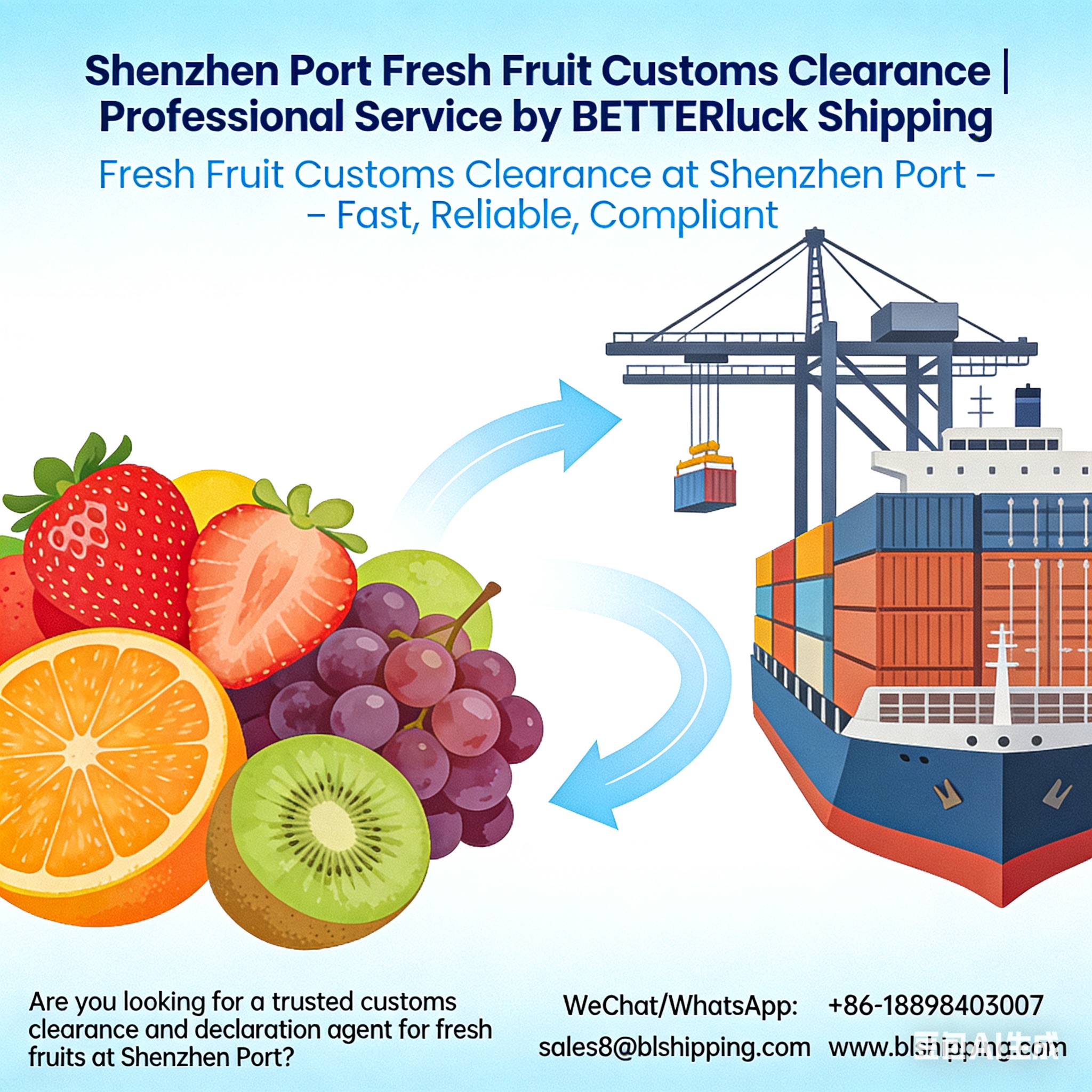 Shenzhen Port Fresh Fruit Customs Clearance Service