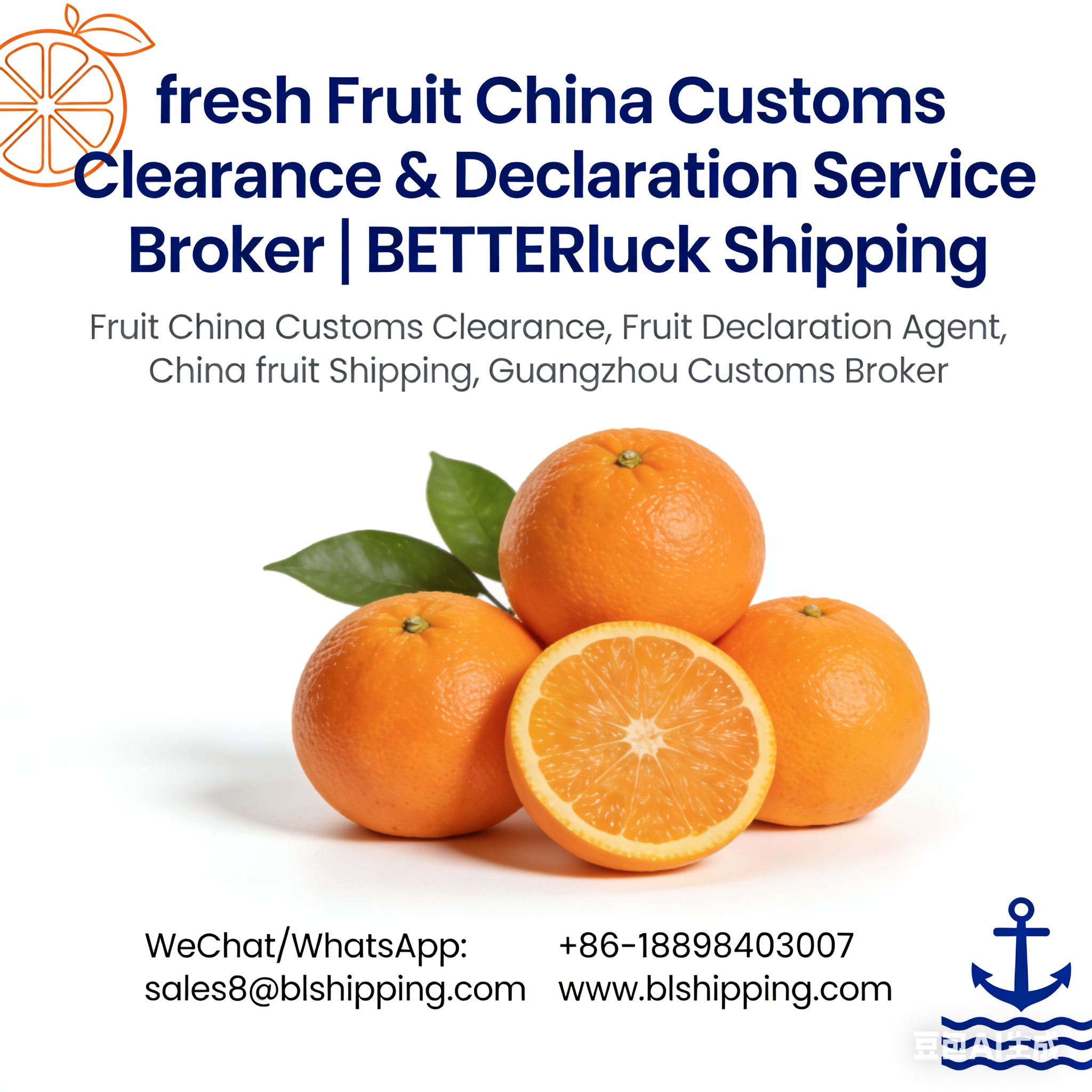 fresh Mango China Customs Clearance Declaration Broker