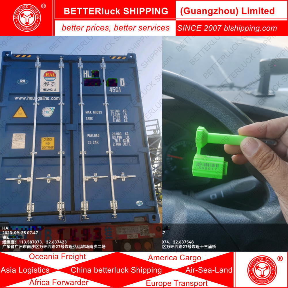 Guangzhou warehouse loading Container Shipping to Algiers